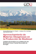 Aprovechamiento de Materias Oleaginosas En La Produccion de Biodiesel