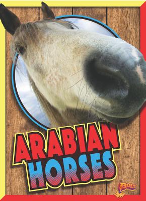 Arabian Horses - Noll, Elizabeth