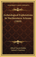 Archeological Explorations in Northeastern Arizona (1919)