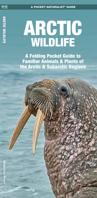 Arctic Wildlife: An Folding Pocket Guide to Familiar Animals & Plants of the Arctic & Subarctic Regions - Kavanagh, James