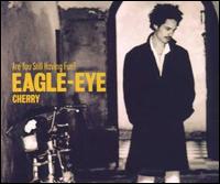 Are You Still Having Fun [Australia CD] - Eagle-Eye Cherry