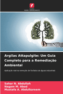 Argilas Attapulgite: Um Guia Completo para a Remedia??o Ambiental