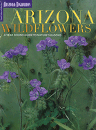 Arizona Wildflowers: A Year-Round Guide to Nature's Blooms