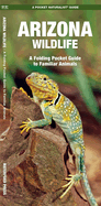 Arizona Wildlife: A Folding Pocket Guide to Familiar Species