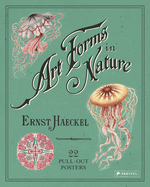 Art Forms in Nature: 22 Pull-Out Posters