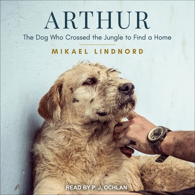 Arthur: The Dog Who Crossed the Jungle to Find a Home - Lindnord, Mikael, and Ochlan, P J (Read by)