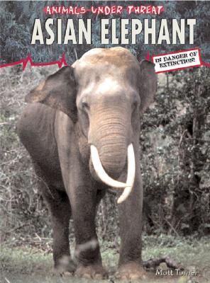 Asian Elephant - Turner, Matt