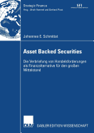 Asset Backed Securities: Die Verbriefung Von Handelsforderungen ALS Finanzierungsalternative Fr Den Groen Mittelstand