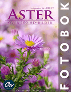 Aster: ver 100 HD-bilder