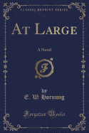 At Large: A Novel (Classic Reprint)