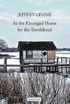 At the Kinnegad Home for the Bewildered - Levine, Jeffrey