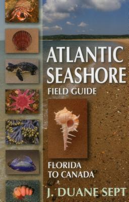 Atlantic Seashore Field Guide: Florida to Canada - Sept, J Duane