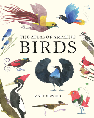 Atlas of Amazing Birds - Sewell, Matt
