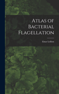 Atlas of Bacterial Flagellation