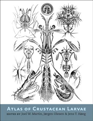 Atlas of Crustacean Larvae - Martin, Joel W (Editor), and Olesen, Jrgen (Editor), and Heg, Jens T (Editor)