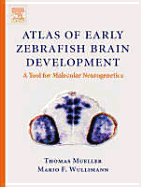 Atlas of Early Zebrafish Brain Development: A Tool for Molecular Neurogenetics - Mueller, Thomas, and Wullimann, Mario F, and Mueller, Dr Thomas