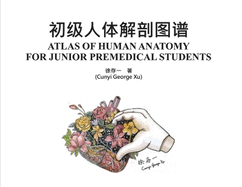 Atlas of Human Anatomy for Junior Premedical Students