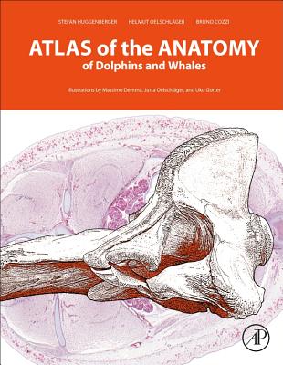 Atlas of the Anatomy of Dolphins and Whales - Huggenberger, Stefan, and Oelschlger, Helmut A, and Cozzi, Bruno