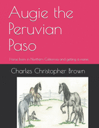 Augie the Peruvian Paso: Horse born in Northern California and getting a name.