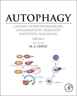 Autophagy: Cancer, Other Pathologies, Inflammation, Immunity, Infection, and Aging: Volume 4 Mitophagy - Hayat, M. A. (Editor)