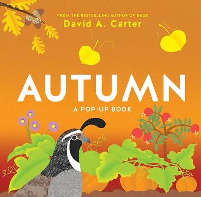 Autumn: A Pop-Up Book - Carter, David