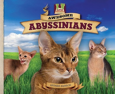 Awesome Abyssinians - Hanson, Anders