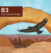 B3 the Juvenile Eagle