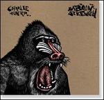 Baboon Strength - Charlie Hunter Trio