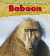 Baboon