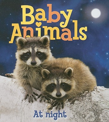 Baby Animals at Night - Kingfisher Books