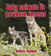 Baby Animals in Northern Forests