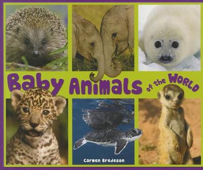 Baby Animals of the World - Bredeson, Carmen