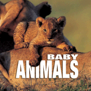 Baby Animals: Supercube