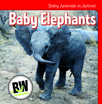 Baby Elephants - Horning, Nicole