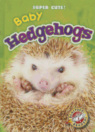 Baby Hedgehogs