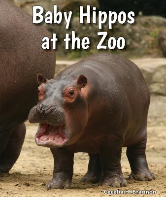 Baby Hippos at the Zoo - Brannon, Cecelia H