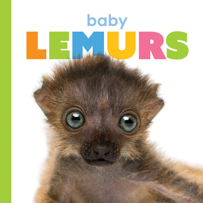 Baby Lemurs - Riggs, Kate