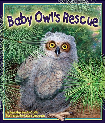 Baby Owl's Rescue - Curtis, Jennifer Keats