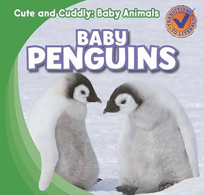 Baby Penguins - Kawa, Katie