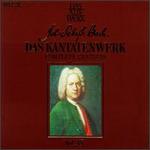Bach: Das Kantatenwerk Vol. 35 (Complete Cantatas) - Allan Bergius (vocals); Ansgar Pfeiffer (vocals); Kurt Equiluz (tenor); Max van Egmond (bass); Paul Esswood (vocals);...