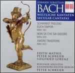 Bach: Secular Cantatas BWV 36c, BWV 209, BWV 203