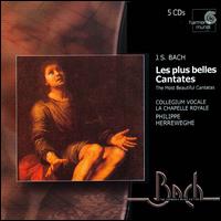 Bach: The Most Beautiful Cantatas - Collegium Vocale (choir, chorus); La Chapelle Royale (choir, chorus); Philippe Herreweghe (conductor)