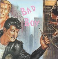 Bad Boy - Various Artists