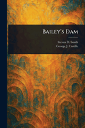 Bailey's Dam