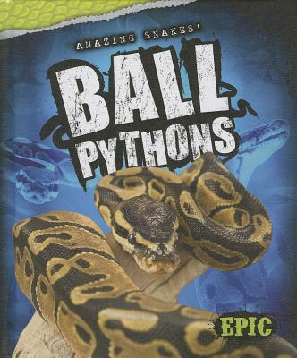 Ball Pythons - Sweazey, Davy