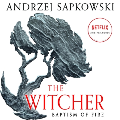 Baptism of Fire - Sapkowski, Andrzej, and French, David (Translated by), and Kenny, Peter (Read by)