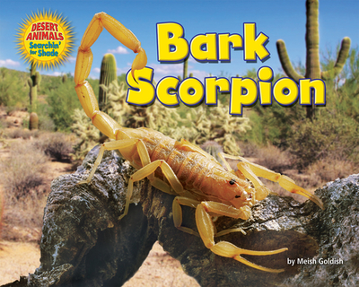 Bark Scorpion - Goldish, Meish