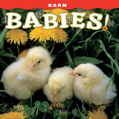 Barn Babies! - Farcountry Press (Creator)