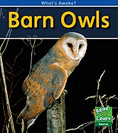 Barn Owls