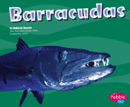 Barracudas - Nuzzolo, Deborah